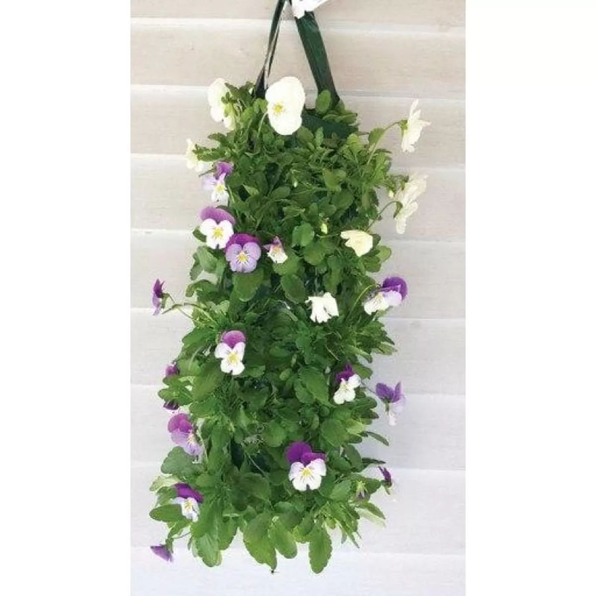 AL ’S FLOWER POUCH GROWING BAG