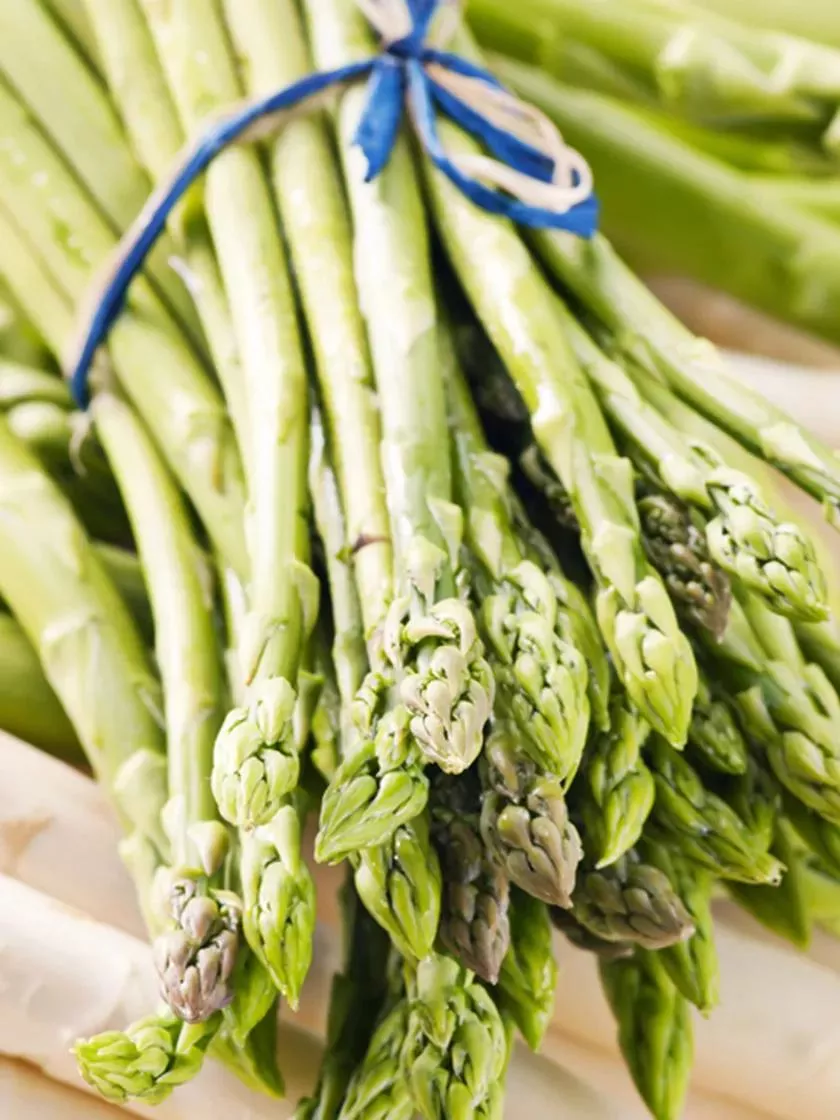 Asparagus Jersey Giant, 12 Roots