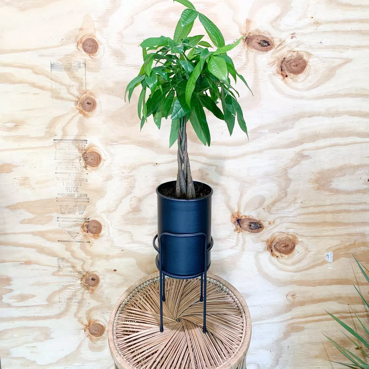 Black Metal Planter Stand