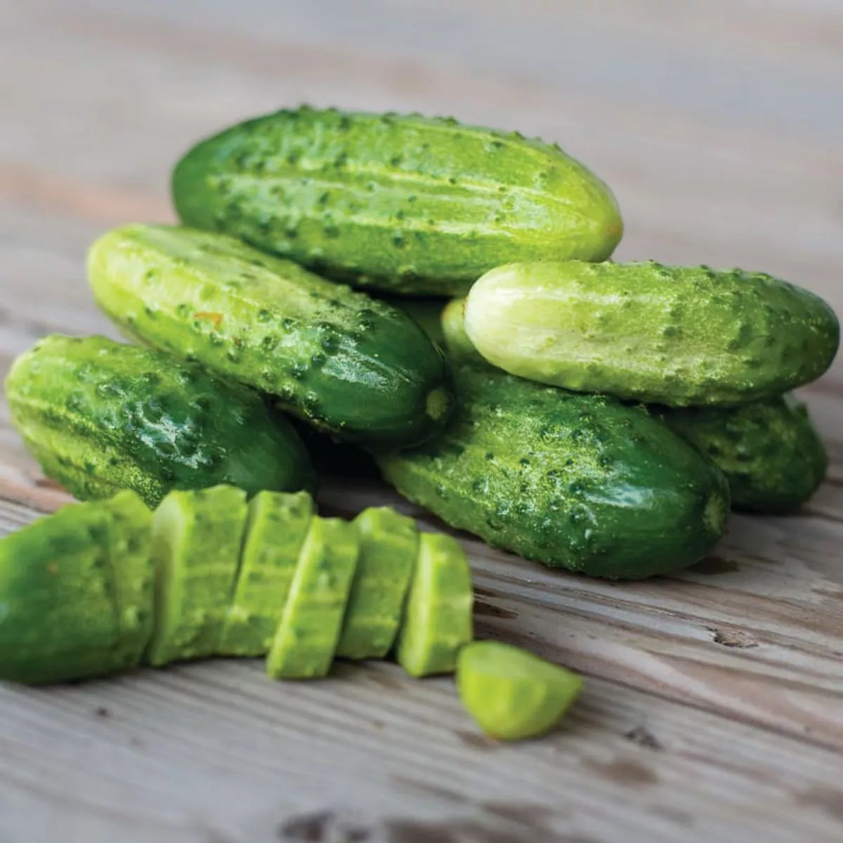 Boston Pickling Cucumber (Heirloom, 52 Days)