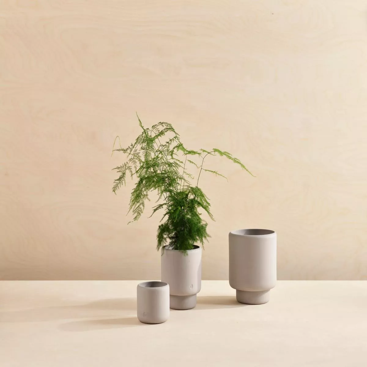 Botany Planter: Grey