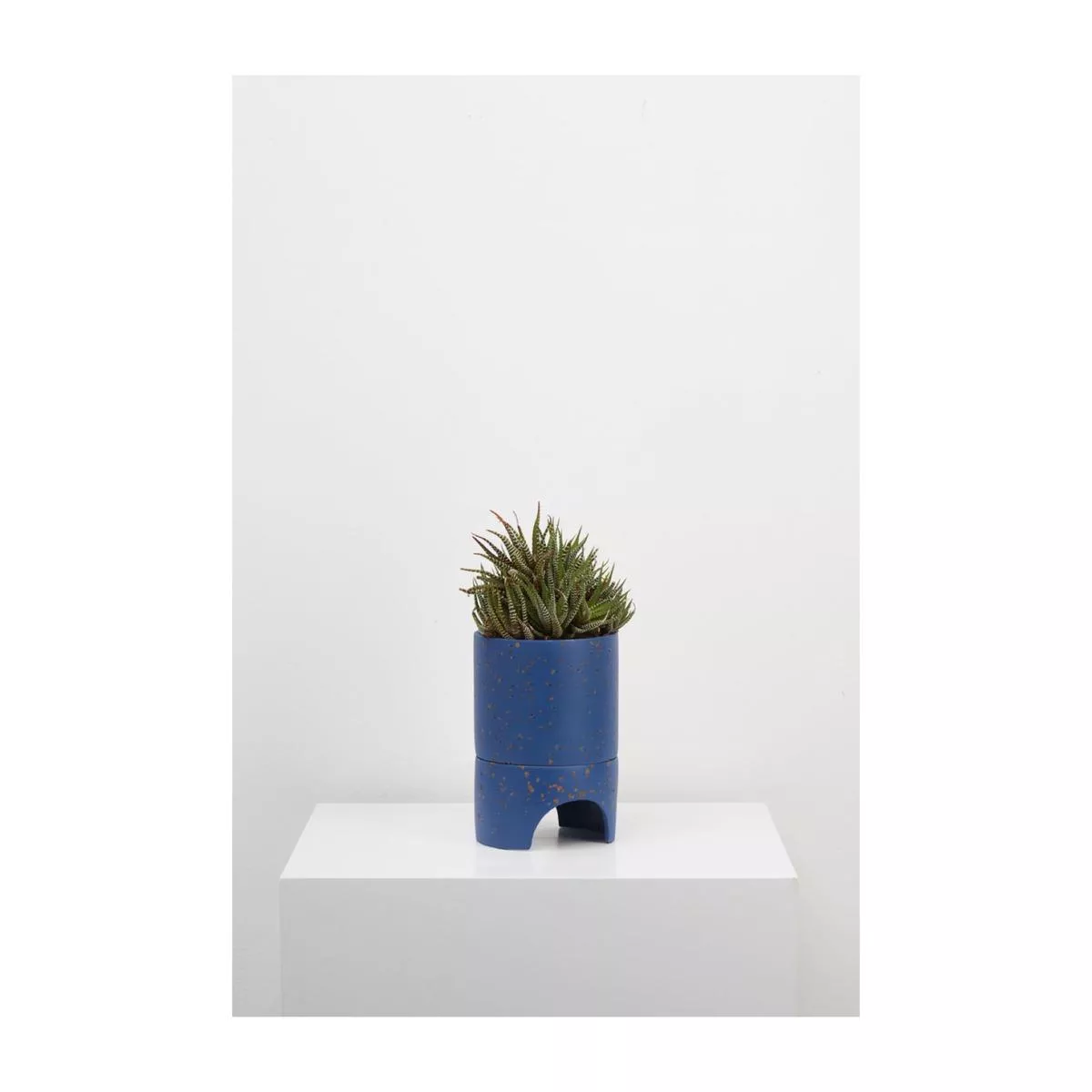 Capra Designs Archie Pot – Neptune