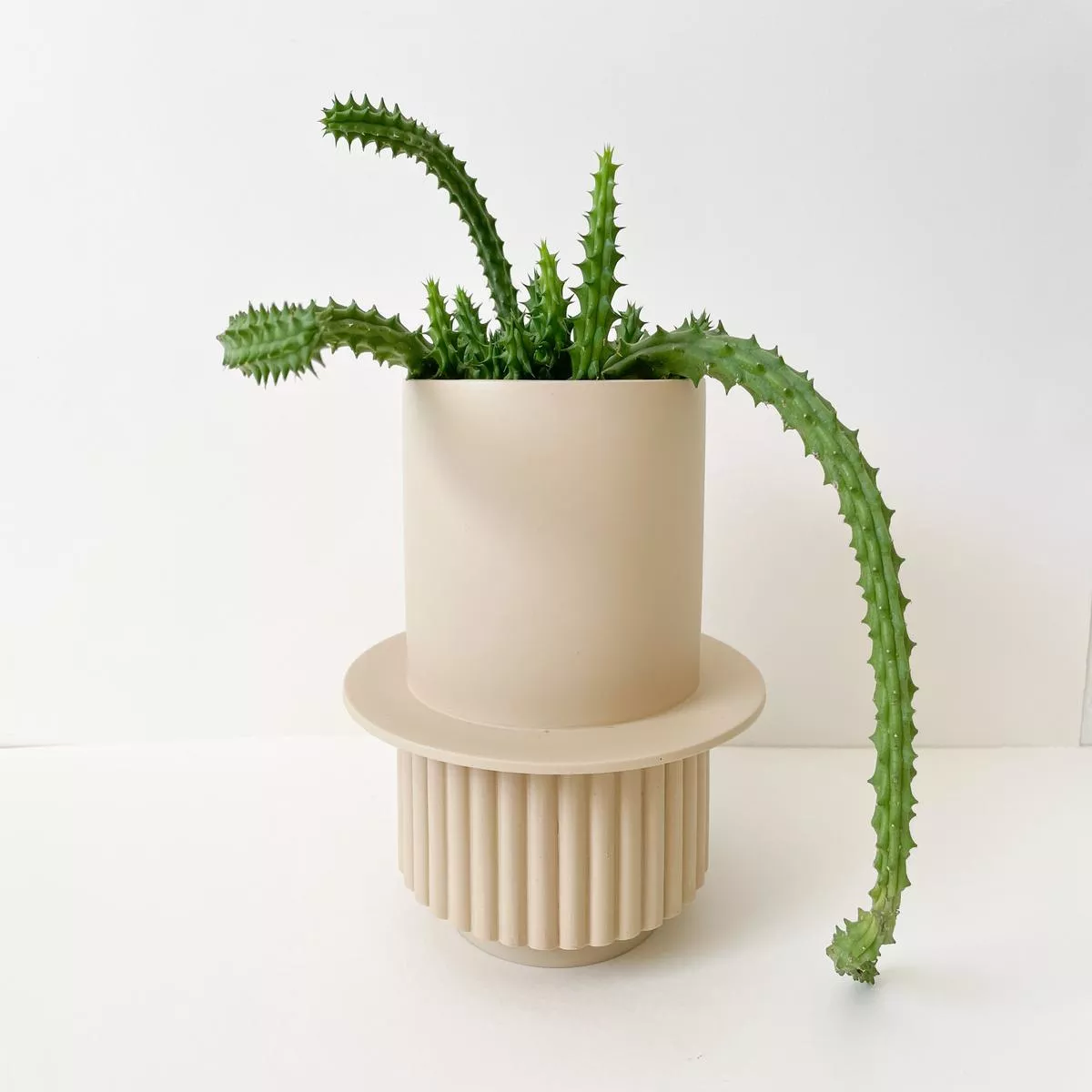 Capra Designs Roma Planter – Fossil