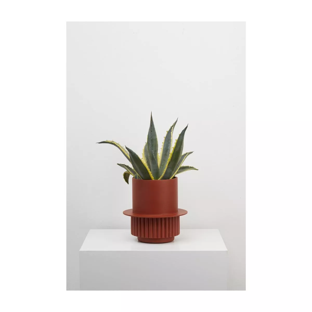Capra Designs Roma Planter – Terracotta