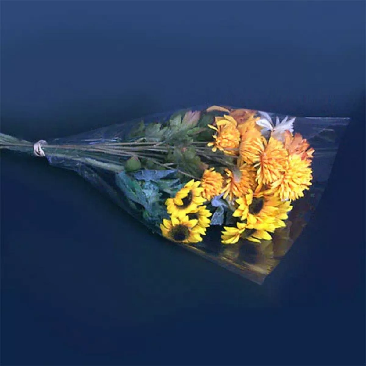 Clear Bouquet Sleeves (XL)