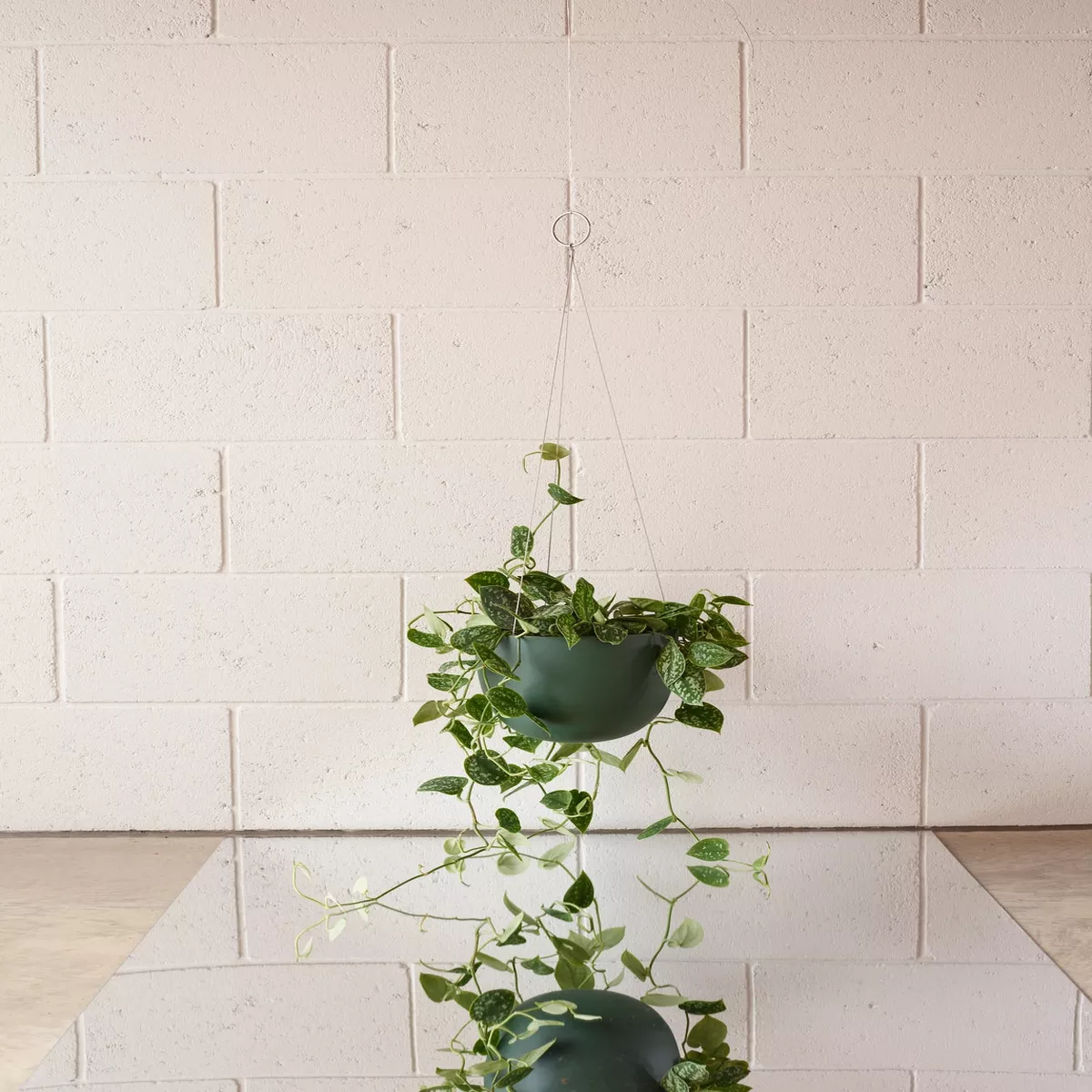 Clifton Planter: Forest Green