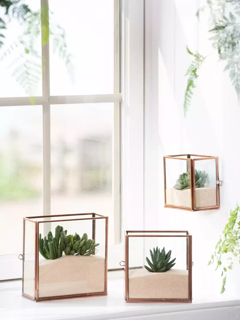 Copper and Glass Terrariums, Set of 3