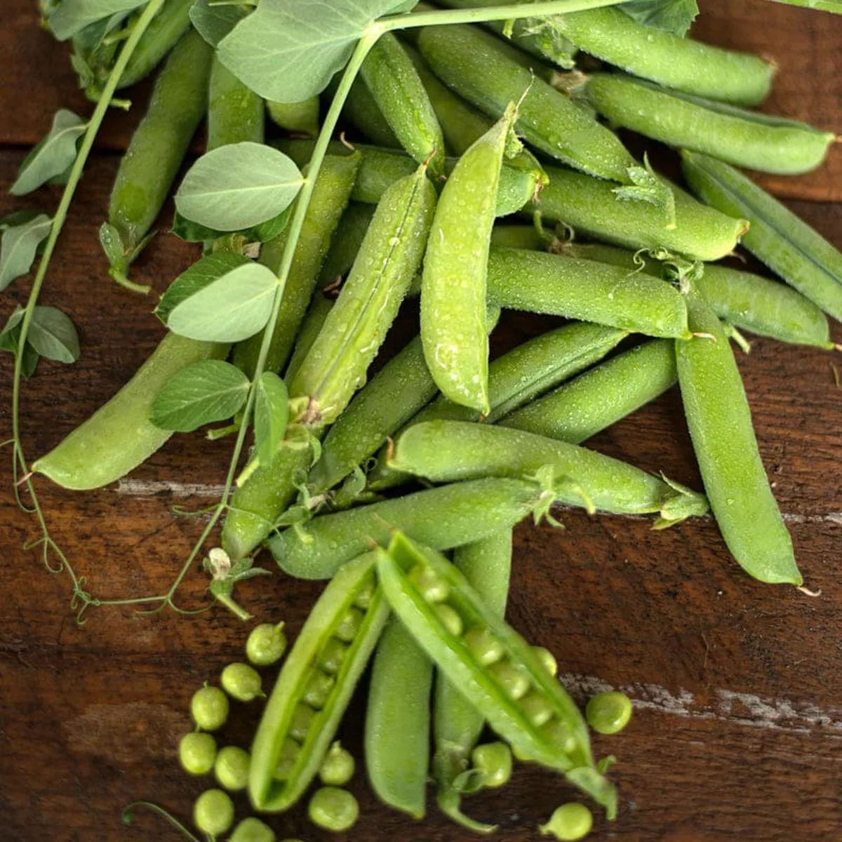 Early Frosty Pea (60 Days)