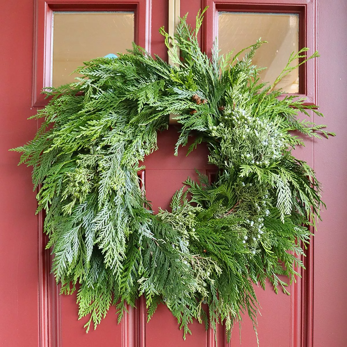 Fresh Cedar & Berried Juniper Holiday Wreath