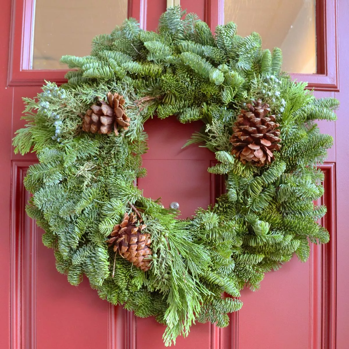 Fresh Mixed Holiday Wreath With Cones