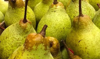 Fruit-Pear-Tsu Li Asian dwf #7