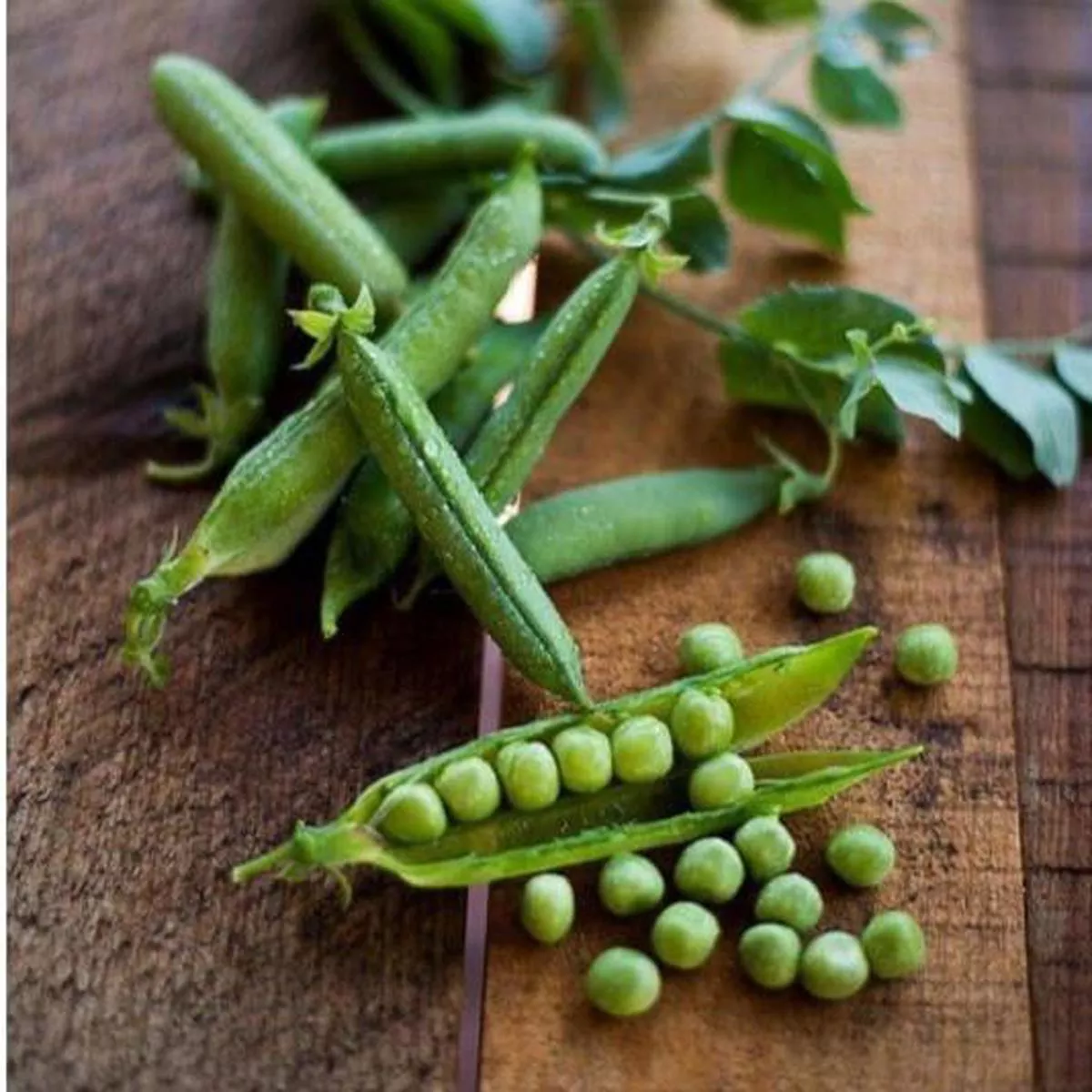 Green Arrow Pea (63 Days)