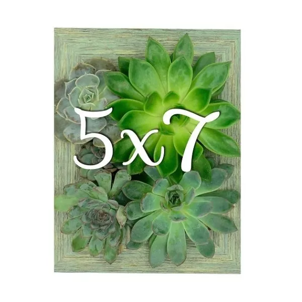 Instant Wall Planter 5″ x 7″ – Garden Center Item