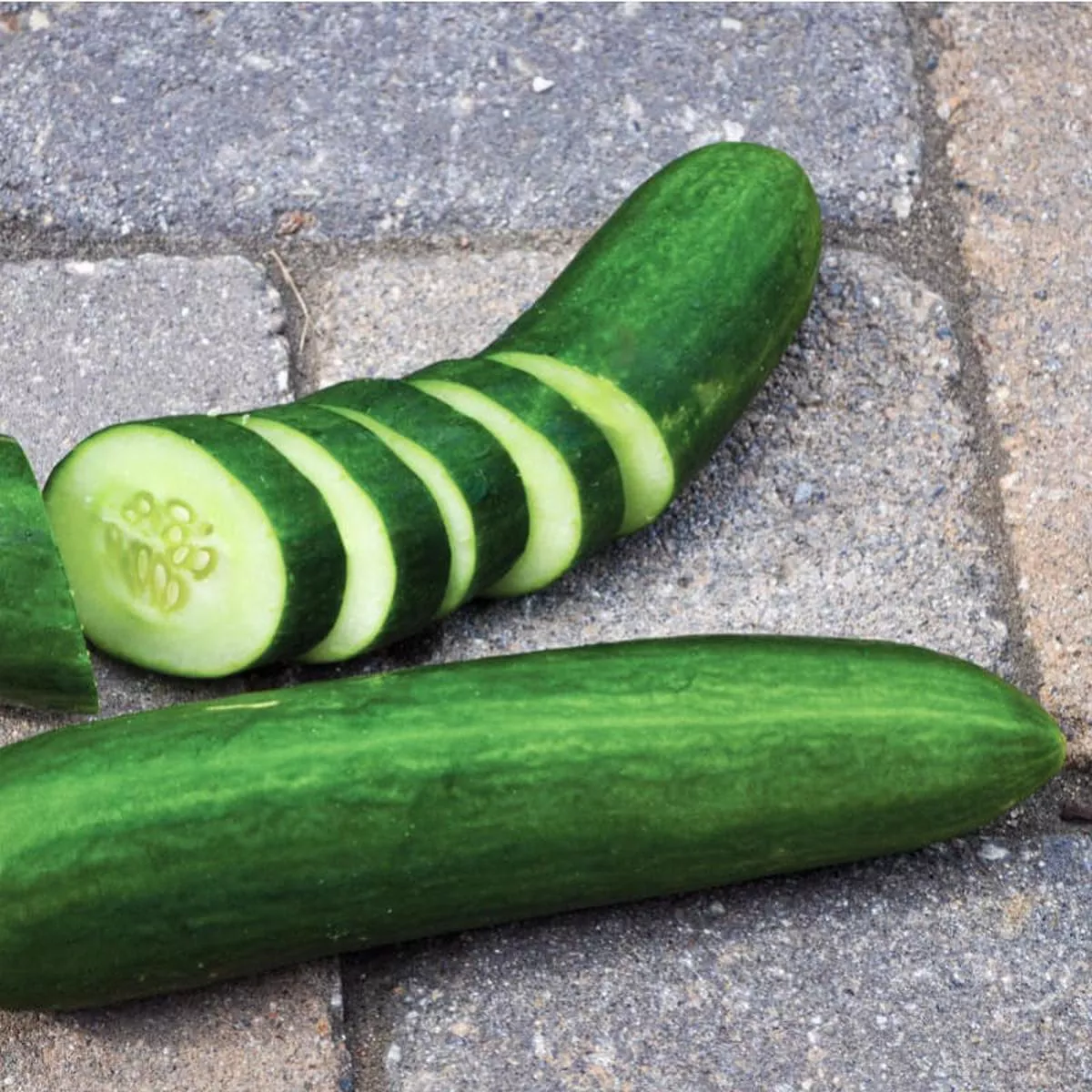 Muncher Cucumber (60 Days)