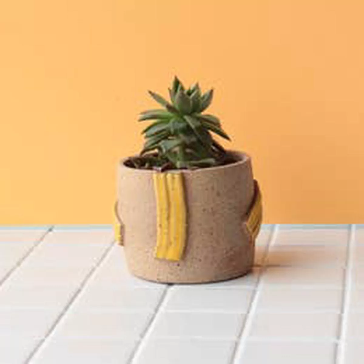 Nightshift Ceramics Line Planter – Sunshine