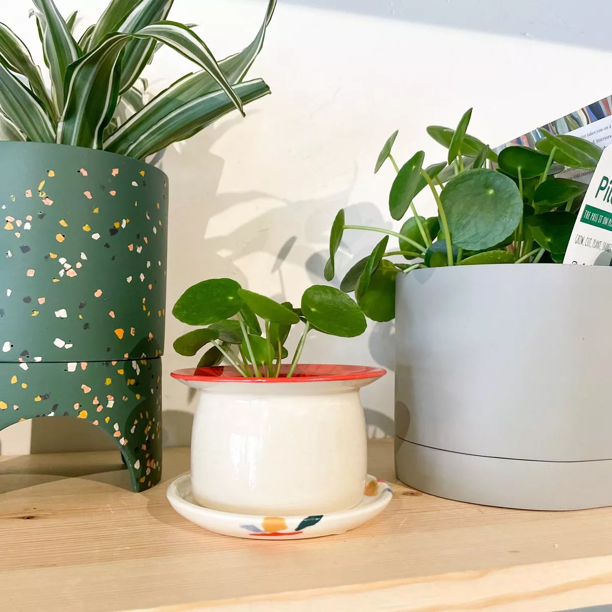 Nightshift Ceramics Mushroom Planter