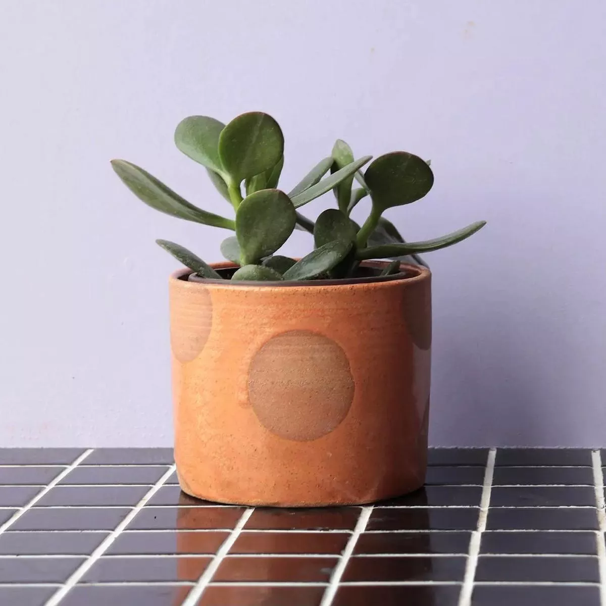 Nightshift Ceramics Tangerine Dots Planter