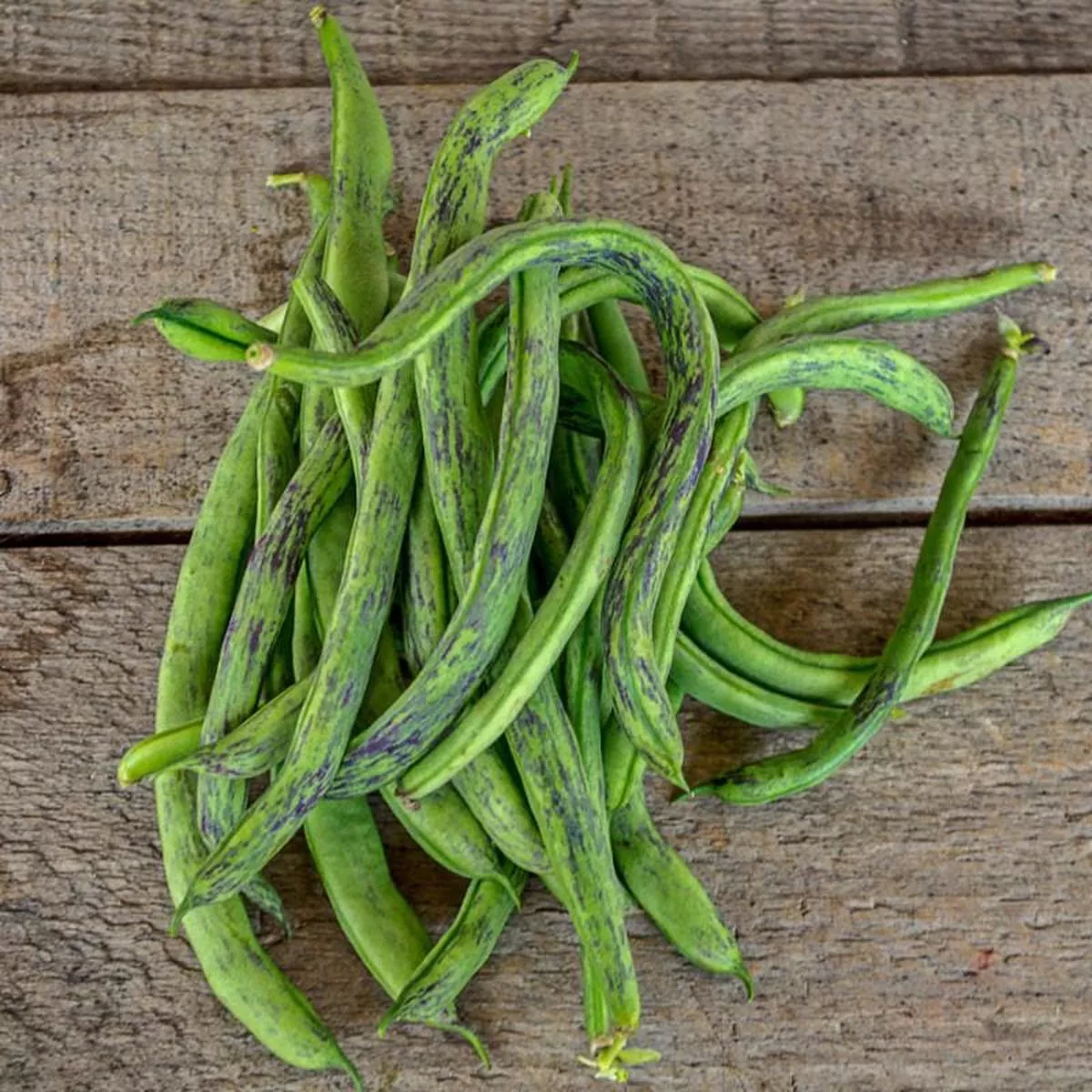 Rattlesnake Pole Bean (Heirloom 65 Days)