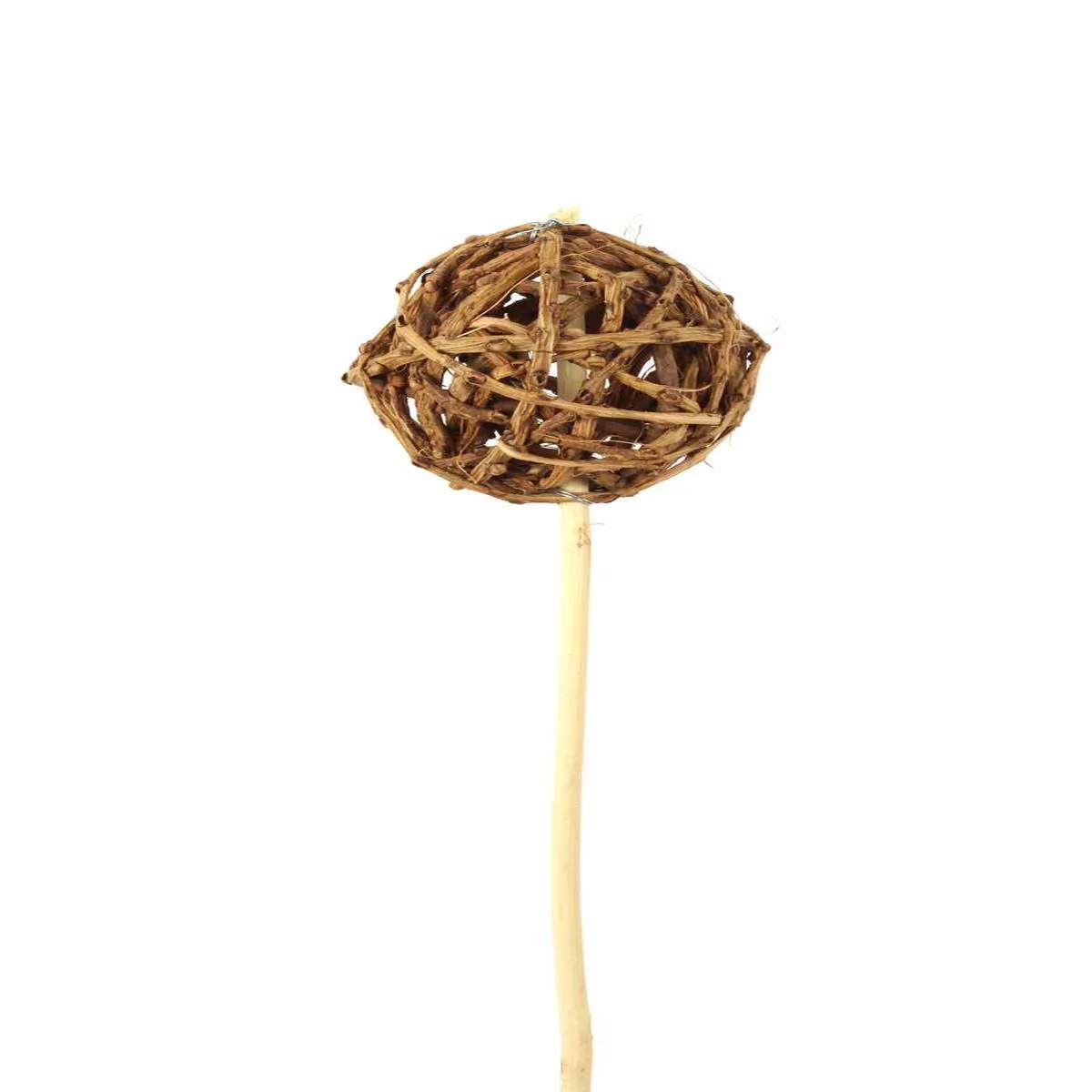 Root Ball – Natural