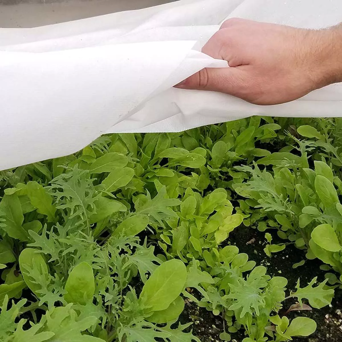 Row Cover Agribon AG-50 10’ x 500 ’