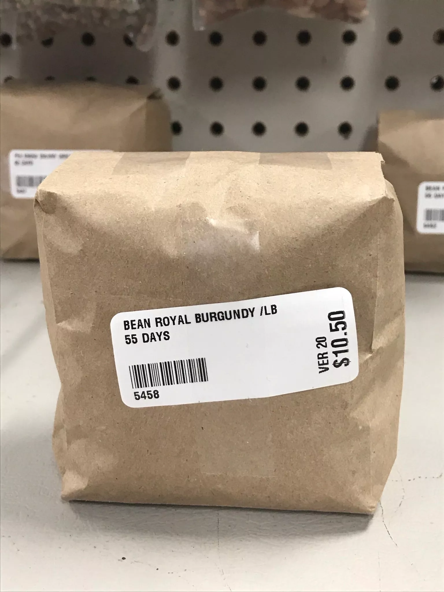 Royal Burgundy Bush Bean Seeds (55 Days) 1 lb – Bulk