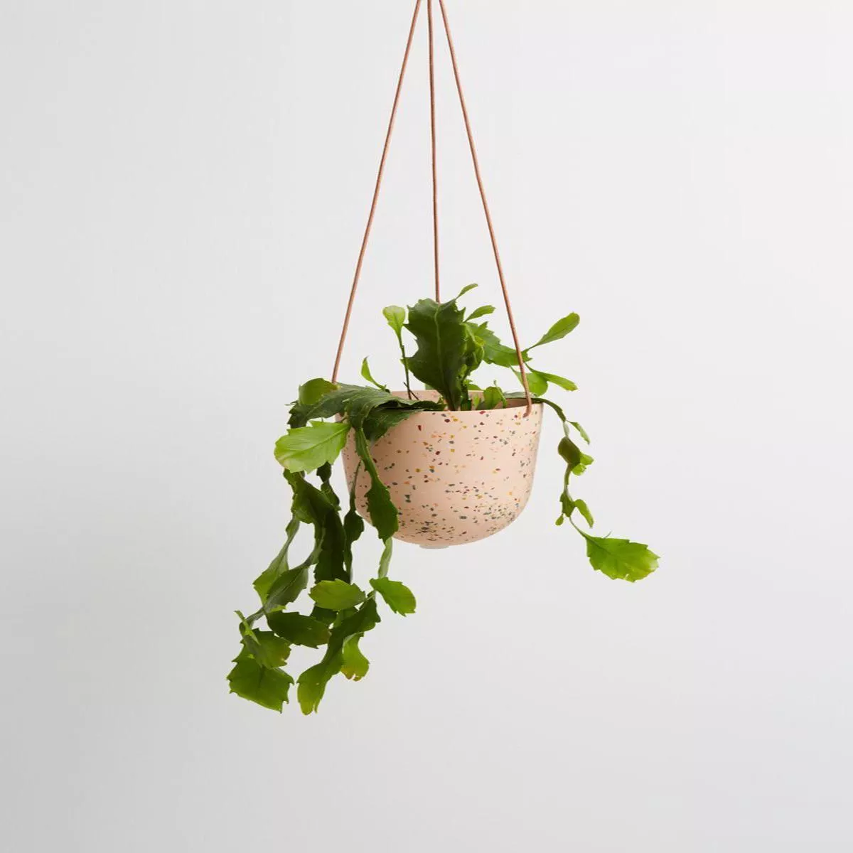 Salt Terrazzo Hanging Pot
