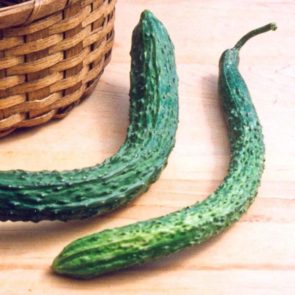 Suyo Long Cucumber (65 Days)