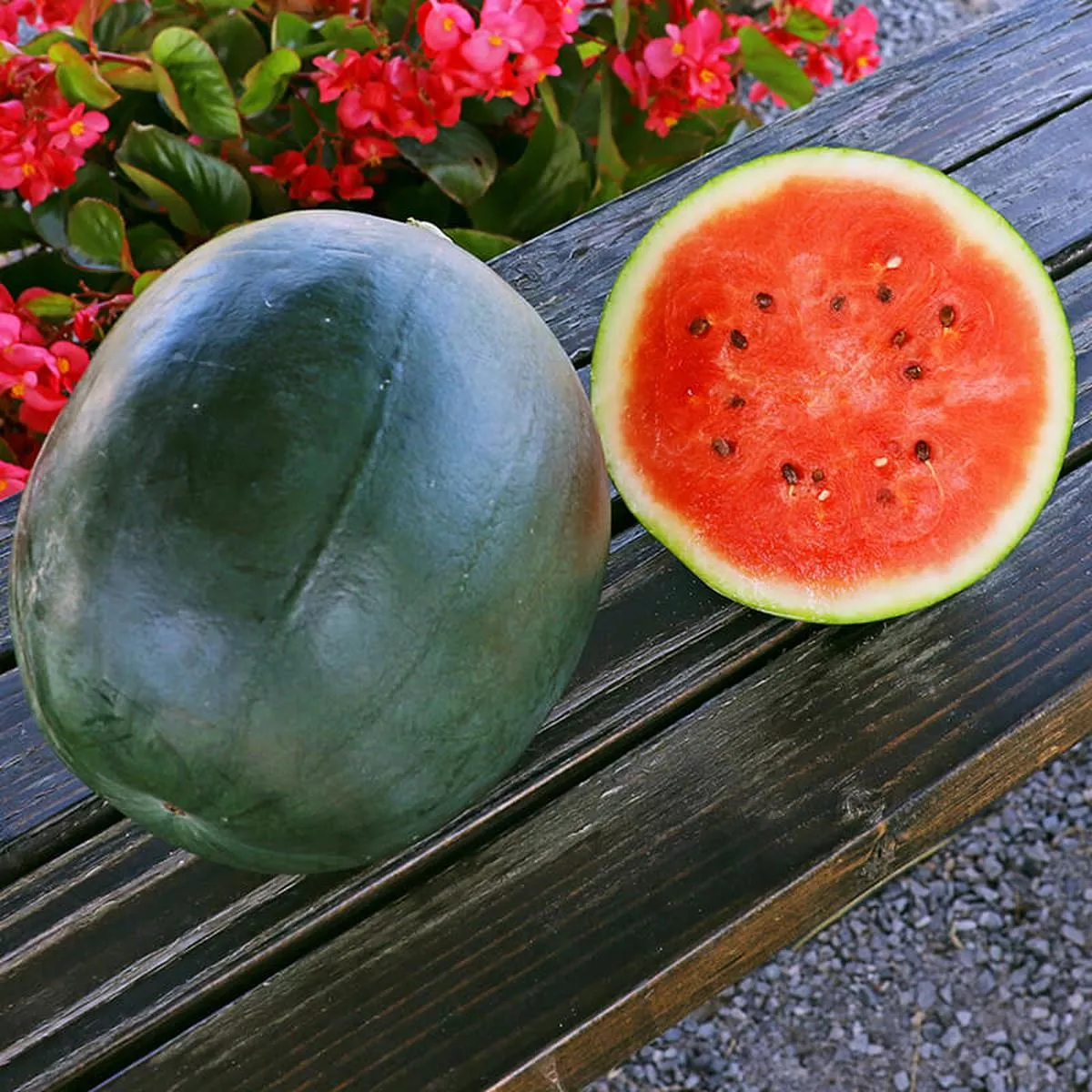 Watermelon Sugar Baby Seed