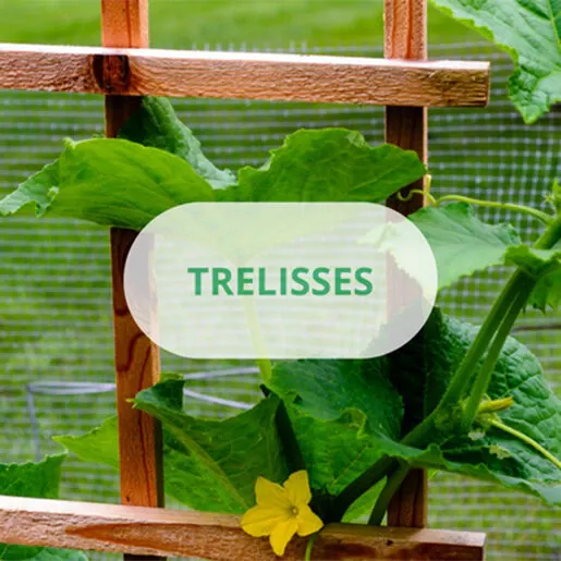 Wood Trellis 48 in. x 48 in.